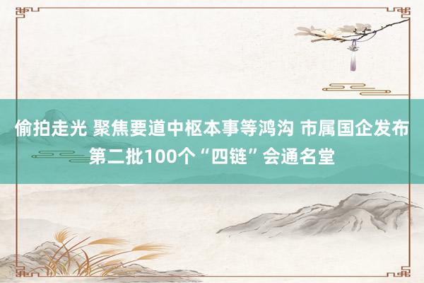 偷拍走光 聚焦要道中枢本事等鸿沟 市属国企发布第二批100个“四链”会通名堂
