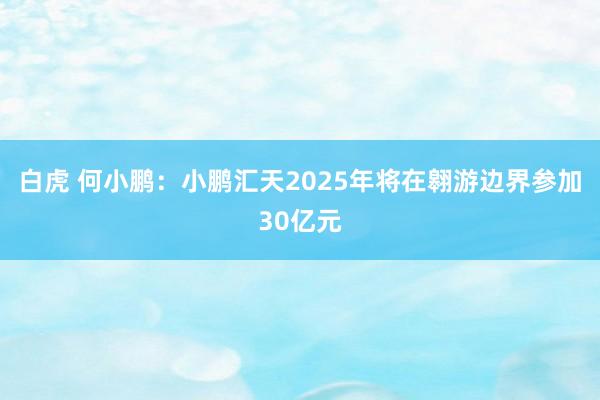 白虎 何小鹏：小鹏汇天2025年将在翱游边界参加30亿元