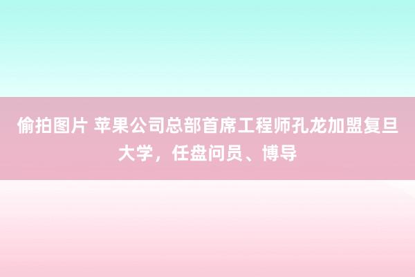 偷拍图片 苹果公司总部首席工程师孔龙加盟复旦大学，任盘问员、博导