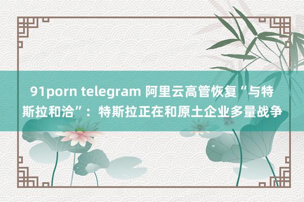 91porn telegram 阿里云高管恢复“与特斯拉和洽”：特斯拉正在和原土企业多量战争