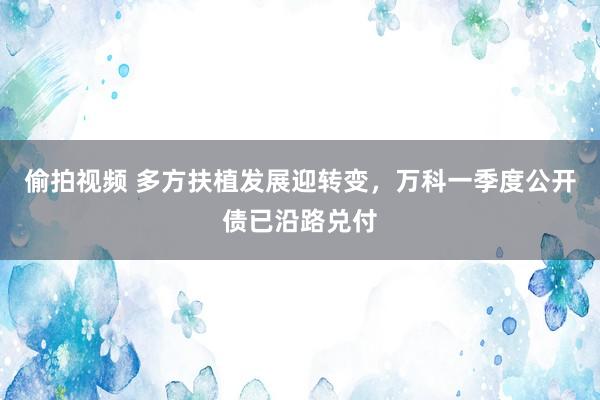 偷拍视频 多方扶植发展迎转变，万科一季度公开债已沿路兑付