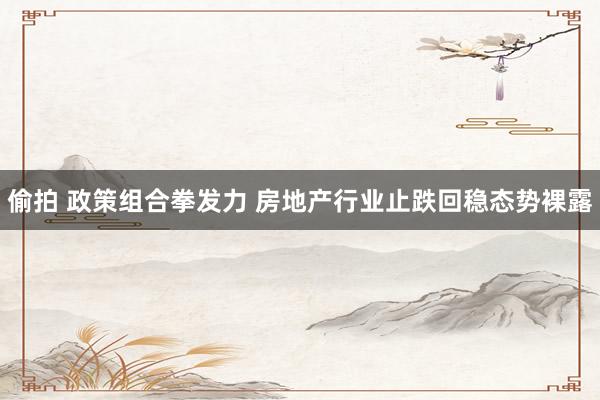 偷拍 政策组合拳发力 房地产行业止跌回稳态势裸露