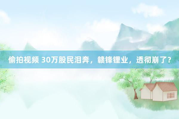 偷拍视频 30万股民泪奔，赣锋锂业，透彻崩了？