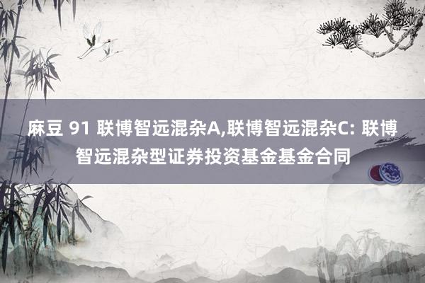 麻豆 91 联博智远混杂A,联博智远混杂C: 联博智远混杂型证券投资基金基金合同