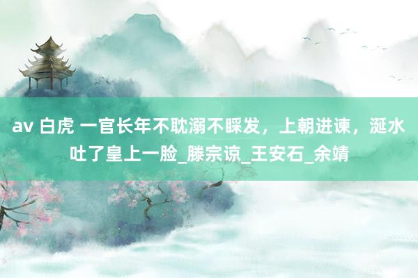 av 白虎 一官长年不耽溺不睬发，上朝进谏，涎水吐了皇上一脸_滕宗谅_王安石_余靖