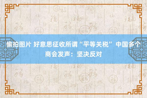 偷拍图片 好意思征收所谓“平等关税” 中国多个商会发声：坚决反对