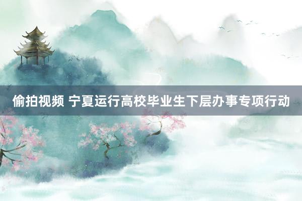 偷拍视频 宁夏运行高校毕业生下层办事专项行动
