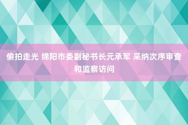 偷拍走光 绵阳市委副秘书长元承军 采纳次序审查和监察访问