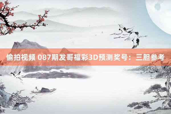 偷拍视频 087期发哥福彩3D预测奖号：三胆参考