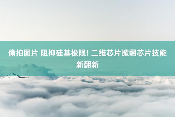 偷拍图片 阻抑硅基极限! 二维芯片掀翻芯片技能新翻新