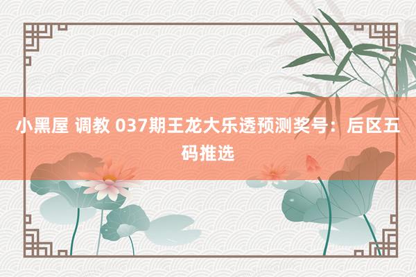 小黑屋 调教 037期王龙大乐透预测奖号：后区五码推选