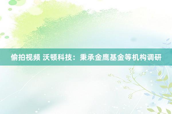 偷拍视频 沃顿科技：秉承金鹰基金等机构调研