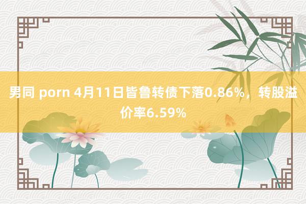男同 porn 4月11日皆鲁转债下落0.86%，转股溢价率6.59%