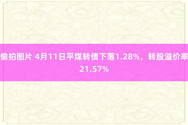 偷拍图片 4月11日平煤转债下落1.28%，转股溢价率21.57%
