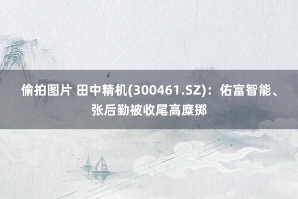偷拍图片 田中精机(300461.SZ)：佑富智能、张后勤被收尾高糜掷