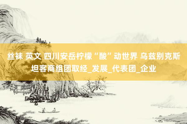 丝袜 英文 四川安岳柠檬“酸”动世界 乌兹别克斯坦客商组团取经_发展_代表团_企业