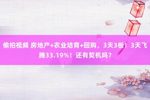 偷拍视频 房地产+农业培育+回购，3天3板！3天飞腾33.19%！还有契机吗？