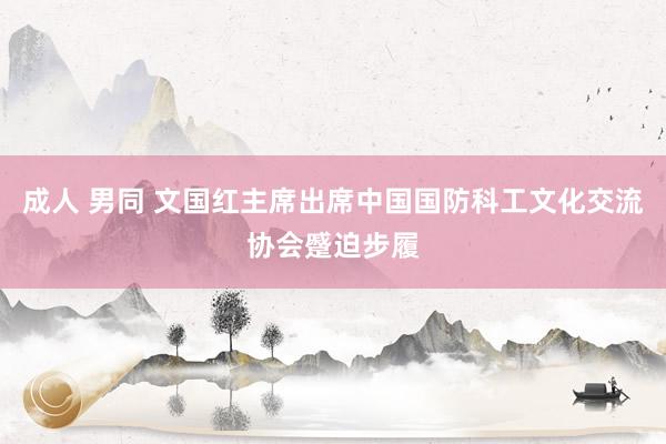 成人 男同 文国红主席出席中国国防科工文化交流协会蹙迫步履