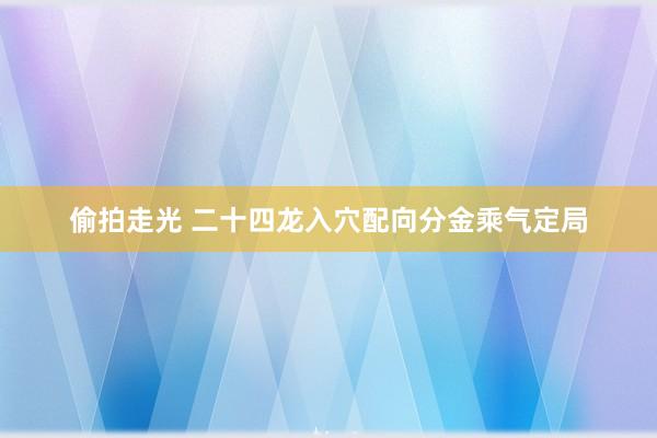 偷拍走光 二十四龙入穴配向分金乘气定局