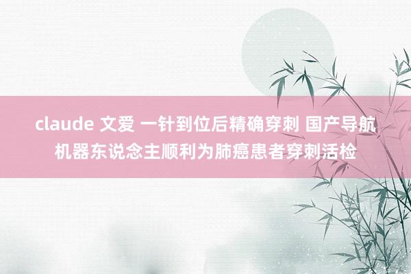 claude 文爱 一针到位后精确穿刺 国产导航机器东说念主顺利为肺癌患者穿刺活检