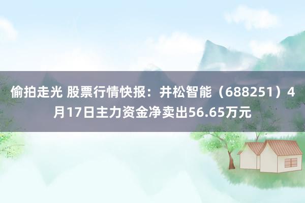 偷拍走光 股票行情快报：井松智能（688251）4月17日主力资金净卖出56.65万元