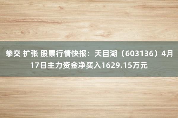 拳交 扩张 股票行情快报：天目湖（603136）4月17日主力资金净买入1629.15万元