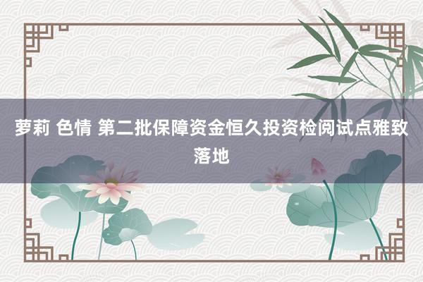 萝莉 色情 第二批保障资金恒久投资检阅试点雅致落地