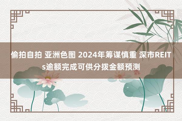 偷拍自拍 亚洲色图 2024年筹谋慎重 深市REITs逾额完成可供分拨金额预测