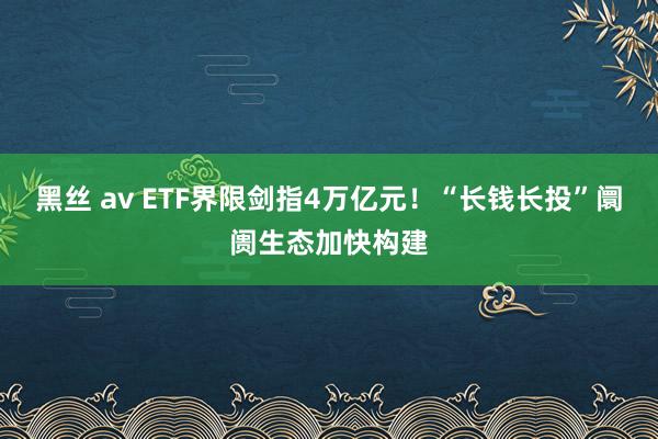 黑丝 av ETF界限剑指4万亿元！“长钱长投”阛阓生态加快构建