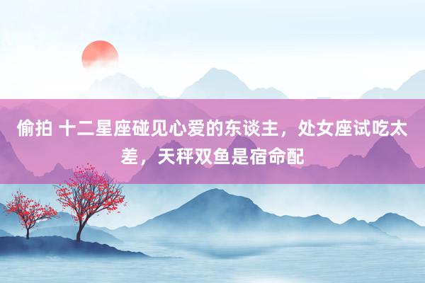 偷拍 十二星座碰见心爱的东谈主，处女座试吃太差，天秤双鱼是宿命配