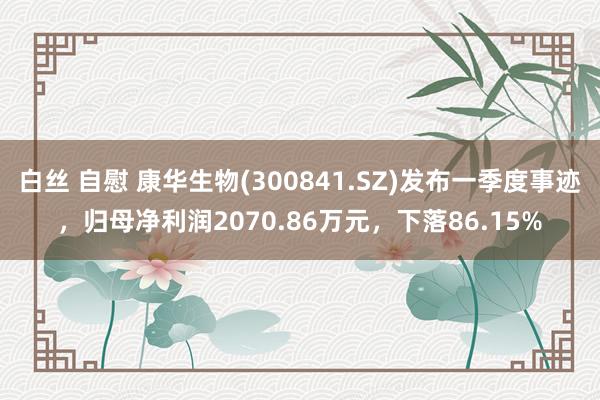 白丝 自慰 康华生物(300841.SZ)发布一季度事迹，归母净利润2070.86万元，下落86.15%