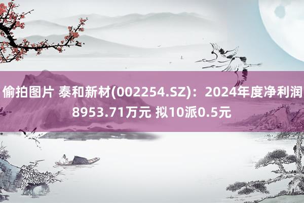 偷拍图片 泰和新材(002254.SZ)：2024年度净利润8953.71万元 拟10派0.5元