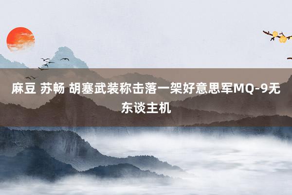 麻豆 苏畅 胡塞武装称击落一架好意思军MQ-9无东谈主机