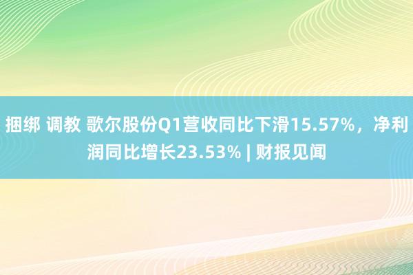 捆绑 调教 歌尔股份Q1营收同比下滑15.57%，净利润同比增长23.53% | 财报见闻
