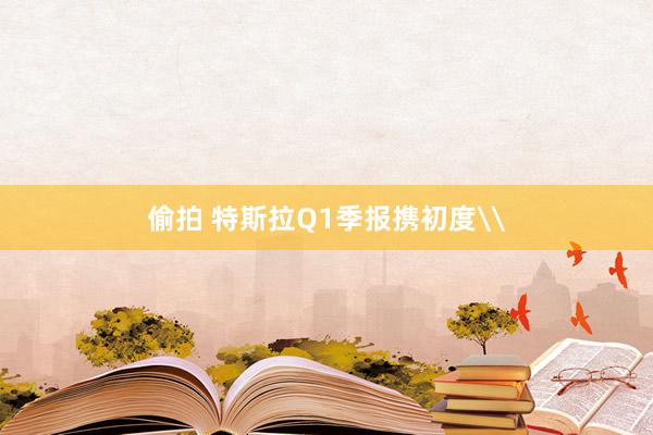 偷拍 特斯拉Q1季报携初度\