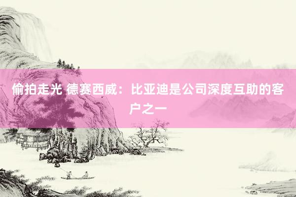 偷拍走光 德赛西威：比亚迪是公司深度互助的客户之一
