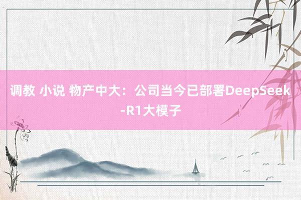 调教 小说 物产中大：公司当今已部署DeepSeek-R1大模子