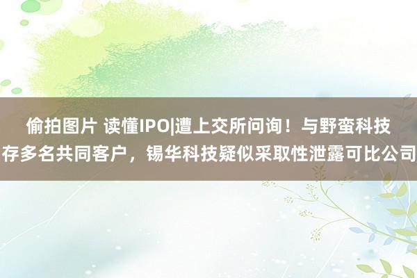 偷拍图片 读懂IPO|遭上交所问询！与野蛮科技存多名共同客户，锡华科技疑似采取性泄露可比公司