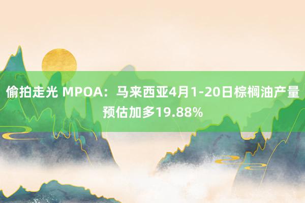 偷拍走光 MPOA：马来西亚4月1-20日棕榈油产量预估加多19.88%
