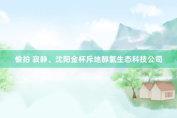 偷拍 寂静、沈阳金杯斥地醇氢生态科技公司