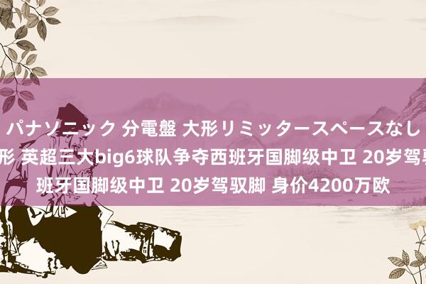パナソニック 分電盤 大形リミッタースペースなし 露出・半埋込両用形 英超三大big6球队争夺西班牙国脚级中卫 20岁驾驭脚 身价4200万欧
