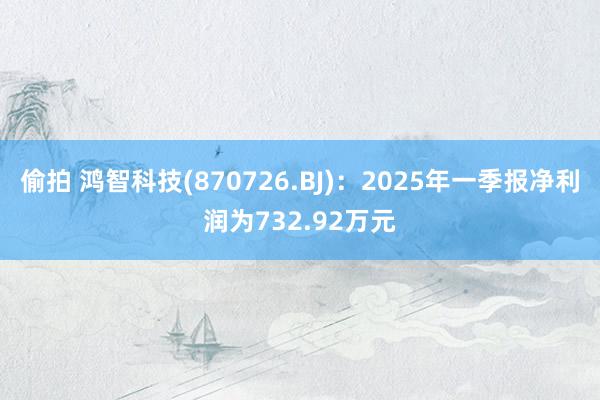 偷拍 鸿智科技(870726.BJ)：2025年一季报净利润为732.92万元