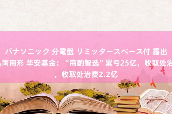 パナソニック 分電盤 リミッタースペース付 露出・半埋込両用形 华安基金：“商酌智选”累亏25亿，收取处治费2.2亿